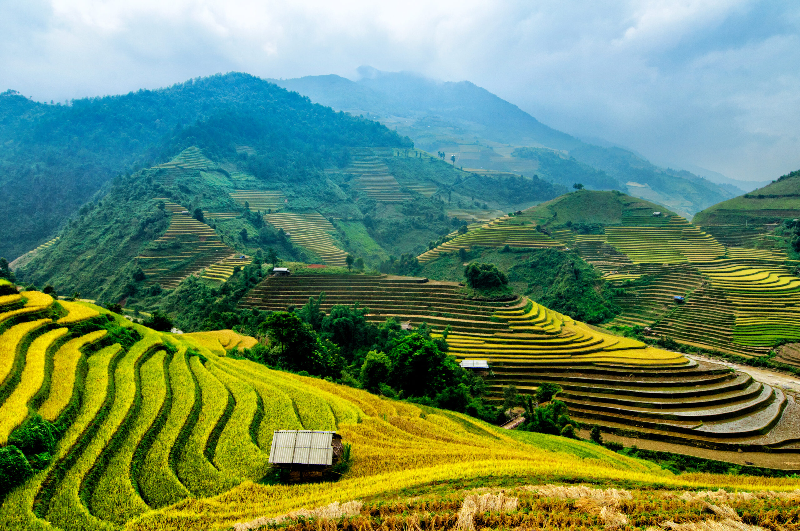 Eating Your Way Through Vietnam: A Culinary Journey for the Senses